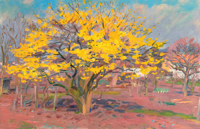 Tree in Yellow Blooming