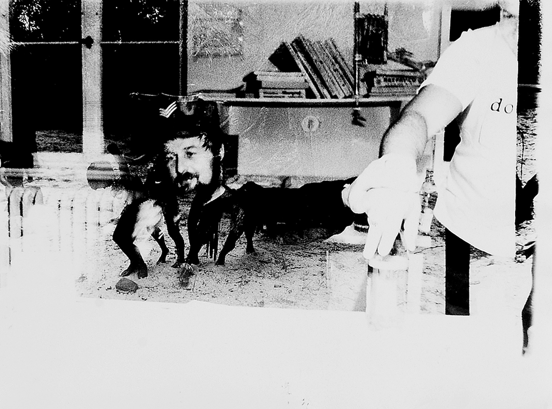 Sigmar Polke, Harald Szeemann Doppelbelichtung