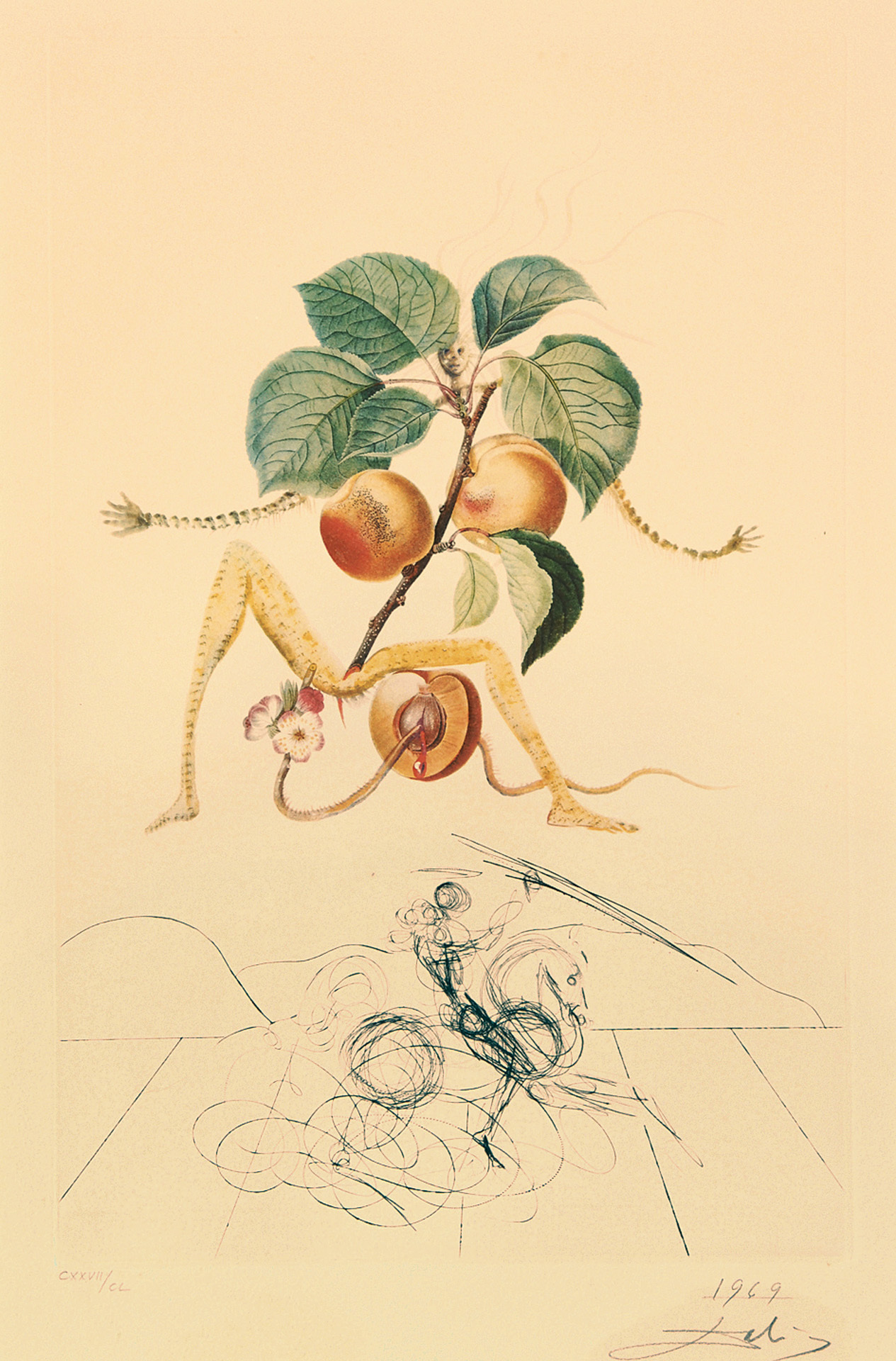 Salvador Dalí, Abricot chevalier, from "Flordali (Les Fruits)"