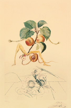 Abricot chevalier, from "Flordali (Les Fruits)"