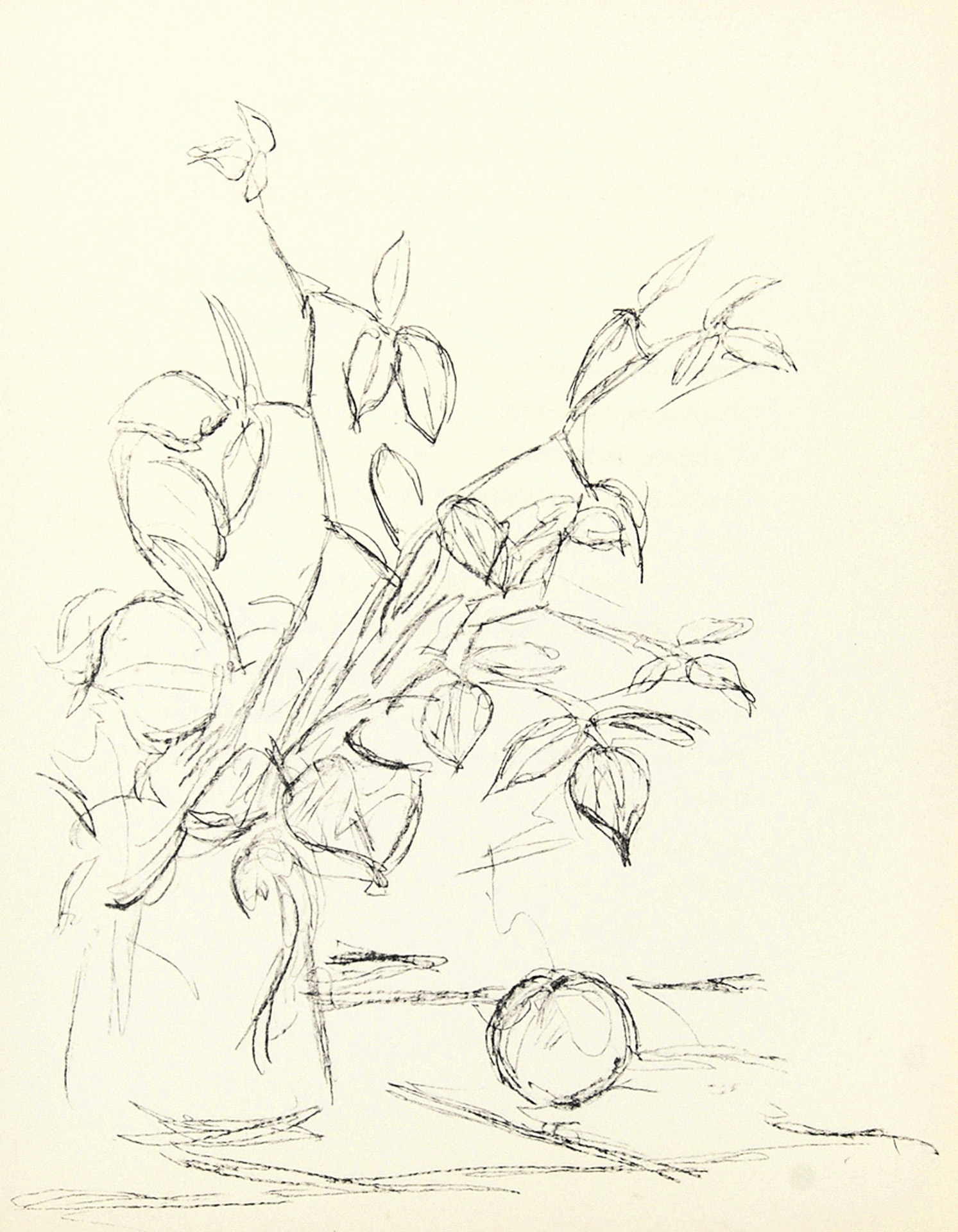 Alberto Giacometti, Buch. Pomme endormie
