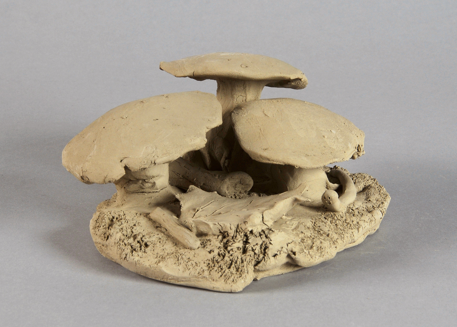 Peter Fischli, Einheimischer Waldboden, from the series "Plötzlich diese Übersicht"