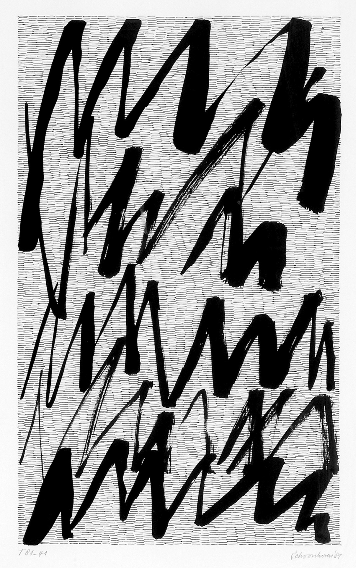 Jan Schoonhoven, T81-41