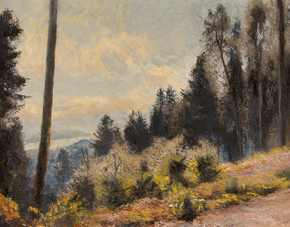 Landschaft (Horgenerberg - Blick auf den Zürichsee)