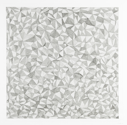 Complex Forms, from "The Complete Portfolio"