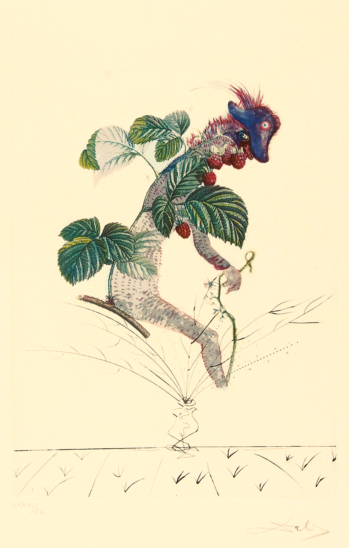 Salvador Dalí, Framboisier, aus "Flordali (Les Fruits)"