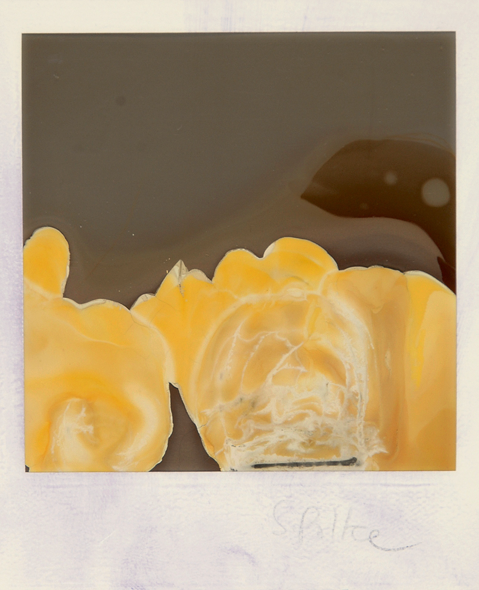 Sigmar Polke, Ohne Titel