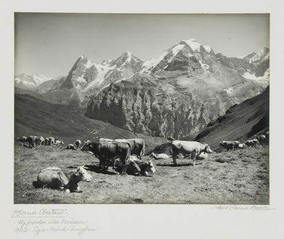 2 photographs: Berner Oberländerhaus bei Spiezwiler; Berner Oberland