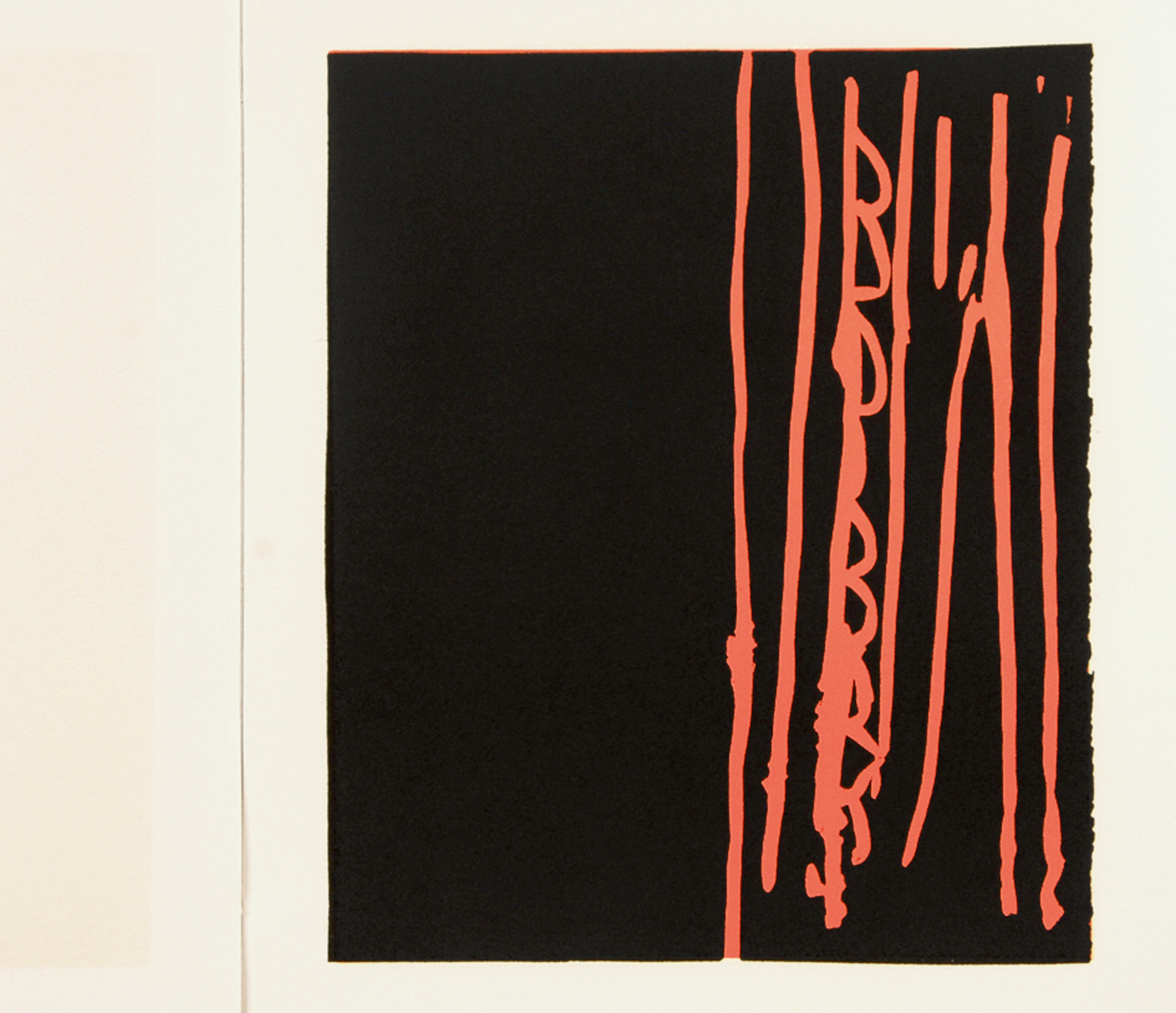 Günther Förg, Buch. 25 Linogravuren