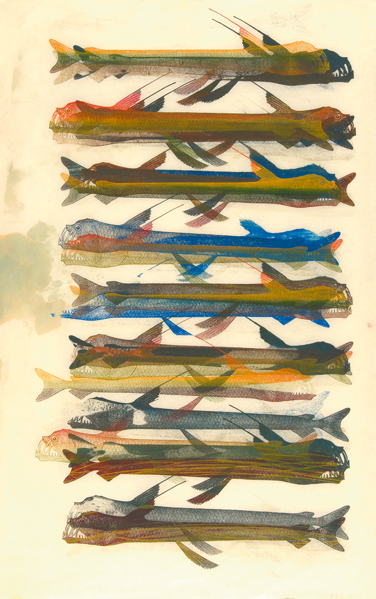 Philip Taaffe, Long, Deep-Sea Toothy Fish (Chauliodus Sloanii)