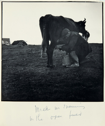 Milk in Evening in the Open Field (Ireland), 1950er Jahre