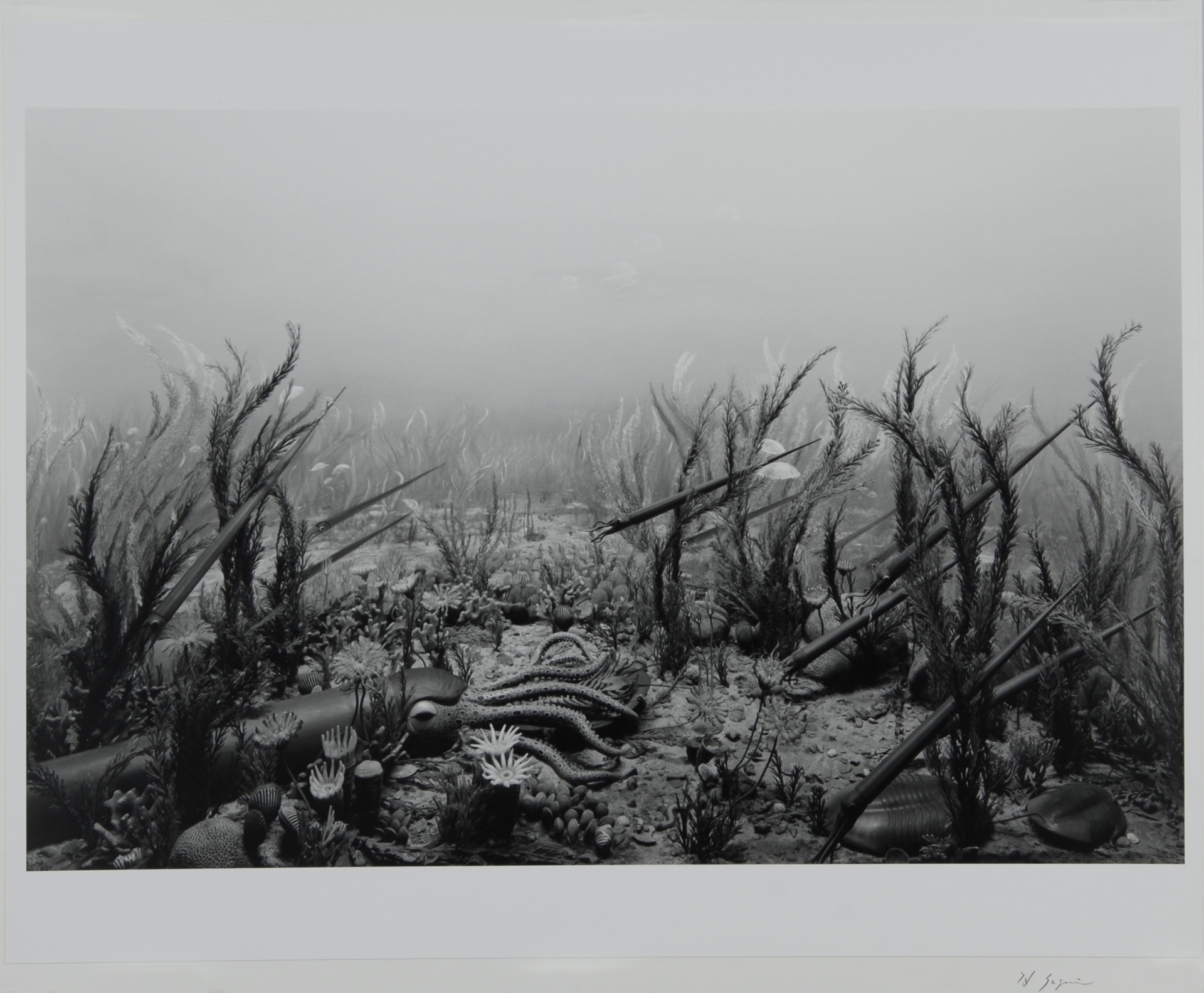 Hiroshi Sugimoto, Ordovician Period