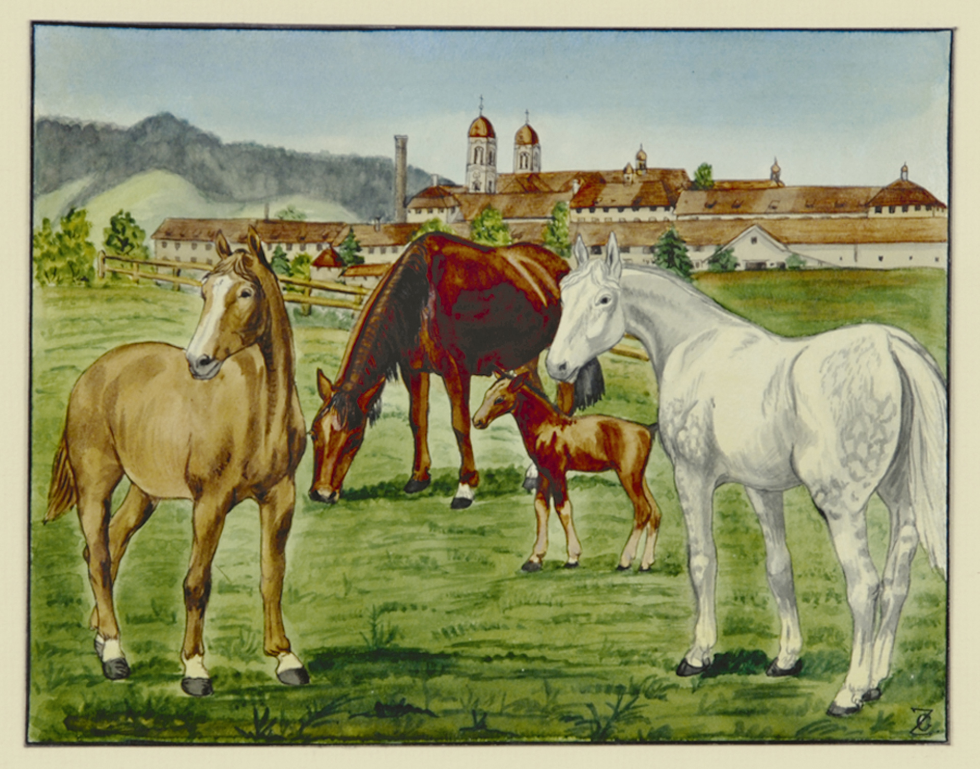 Johann Georg Zähndler, Gestüt Kloster Einsiedeln