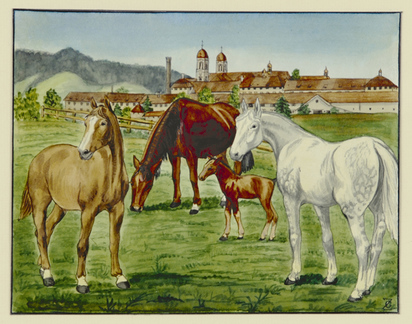 Gestüt Kloster Einsiedeln