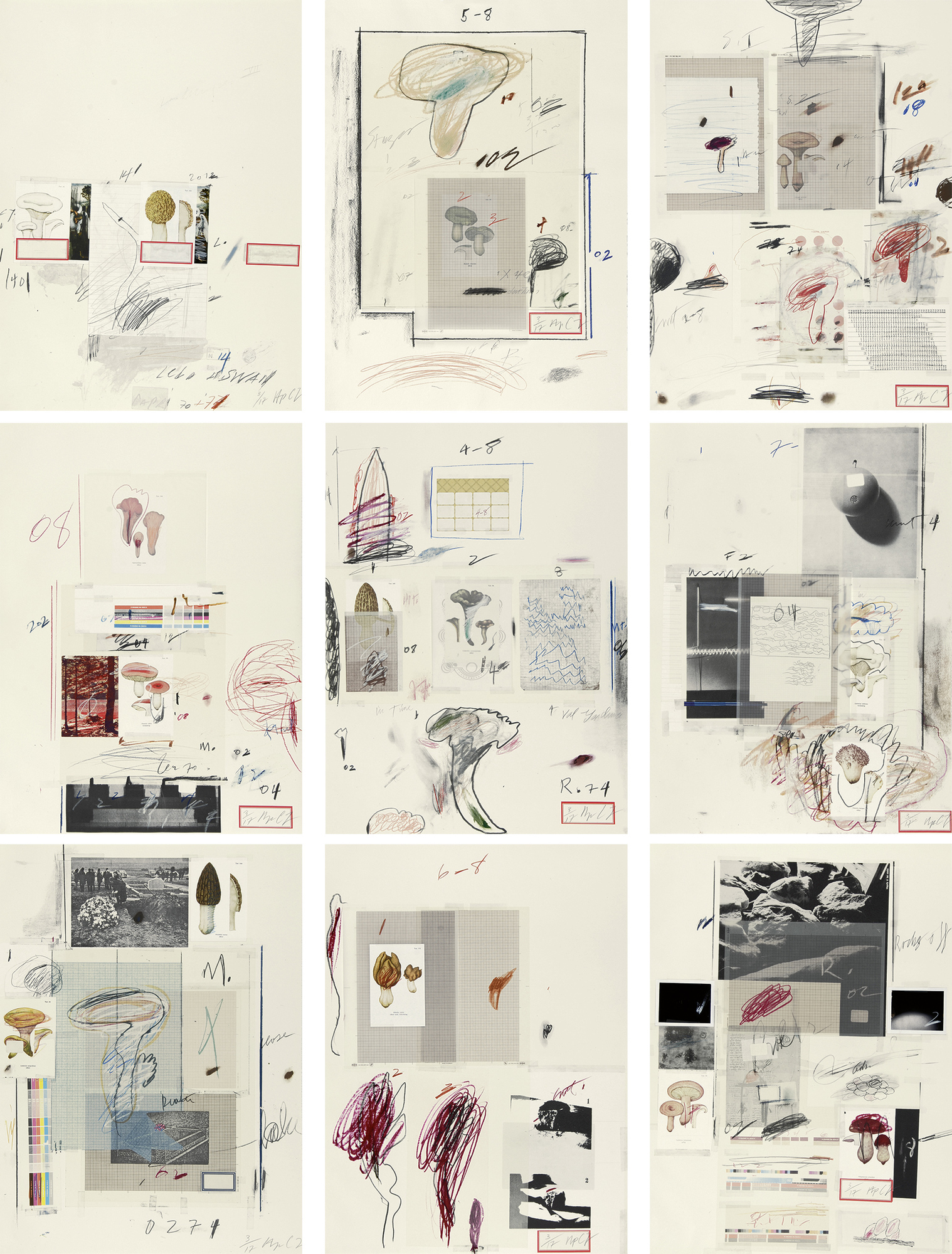 Cy Twombly, Portfolio. Natural History Part I Mushrooms