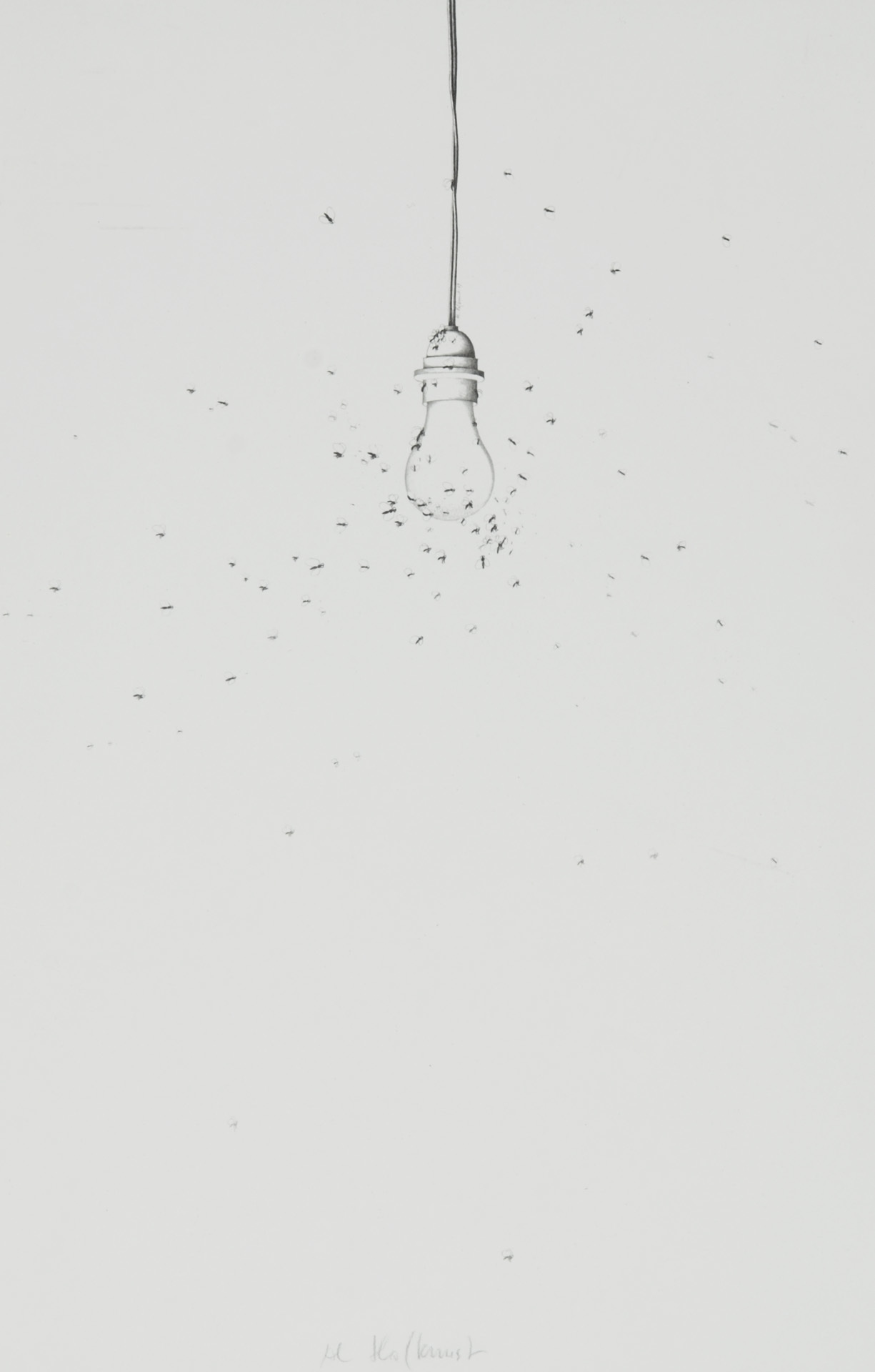 Alfred Hofkunst, Wie die Fliegen um das Licht