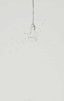 Wie die Fliegen um das Licht