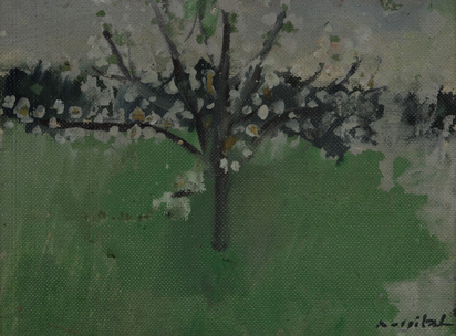 Blühender Baum