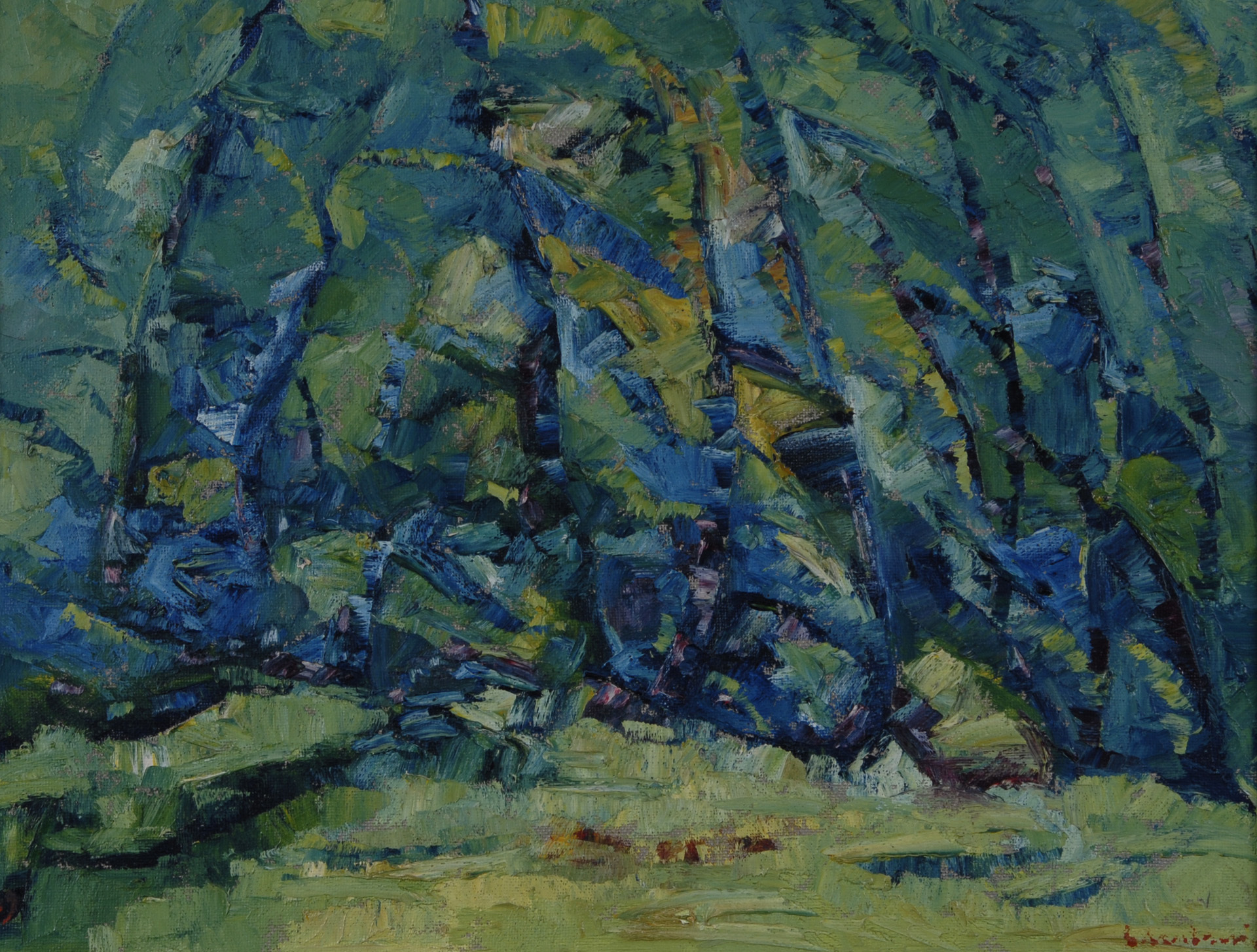 Elmo Ambrosi, Bosco