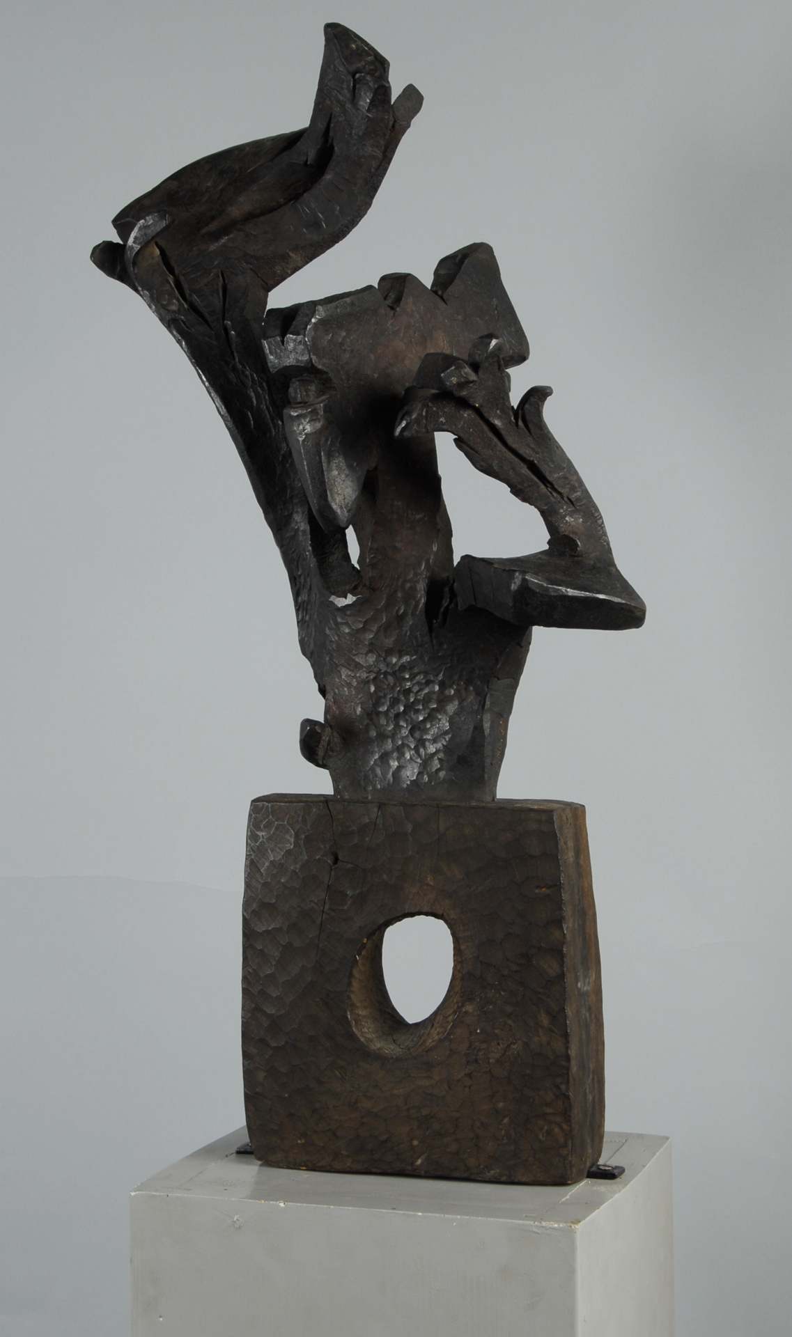 Silvio Mattioli, Vogelmensch
