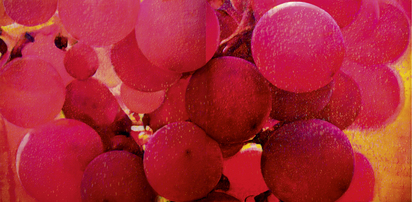 Diptychon. Untitled 99051 (luminous red grapes)
