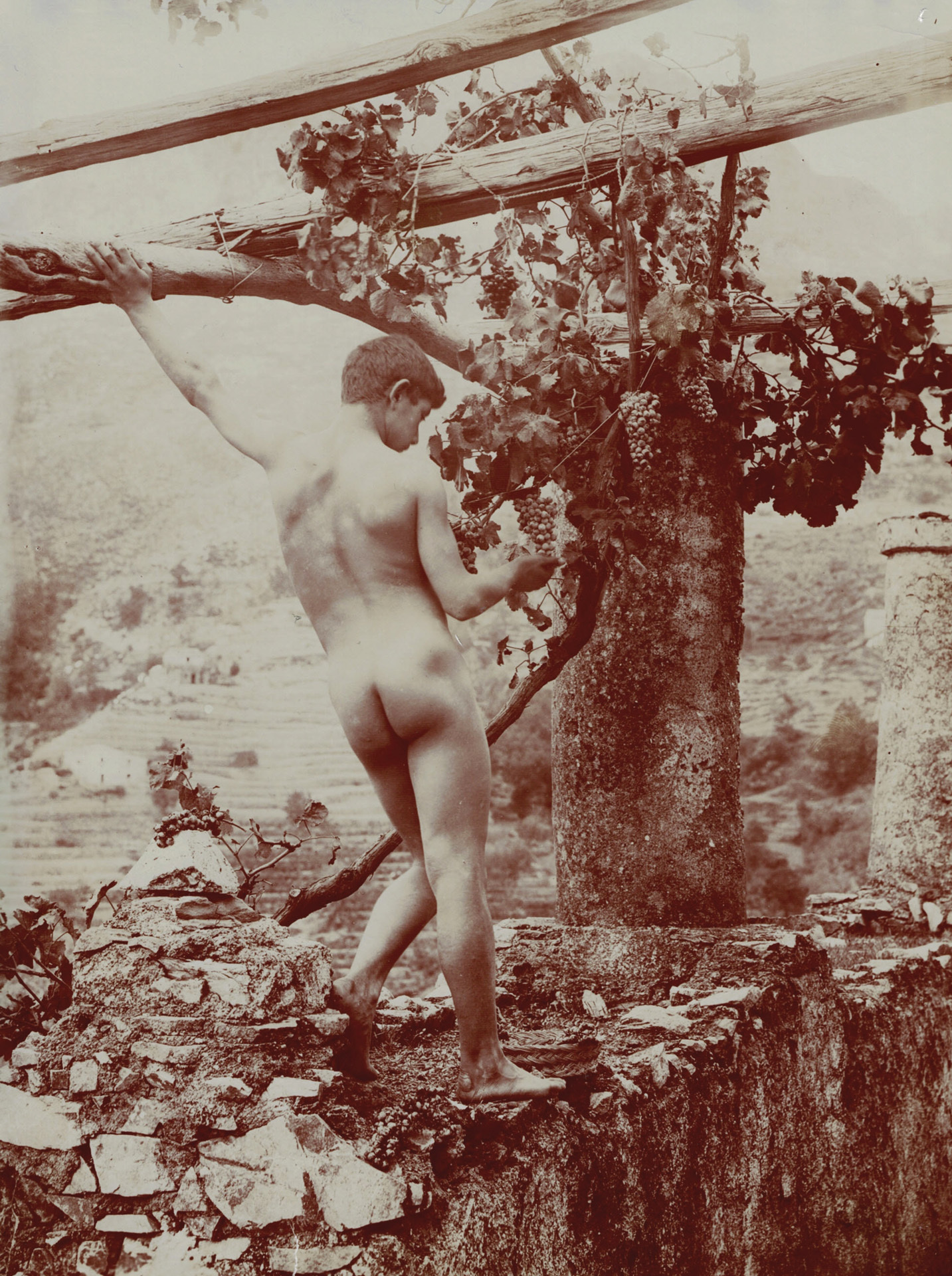 Wilhelm von Gloeden, 3 photographs: Rückenakt auf dem Monte Ziretto, approx. 1895; Knabenakt beim Monte Ziretto, approx. 1890; Knabenakt mit Palmwedel