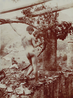 3 Fotografien: Rückenakt auf dem Monte Ziretto, ca. 1895; Knabenakt beim Monte Ziretto, ca. 1890; Knabenakt mit Palmwedel