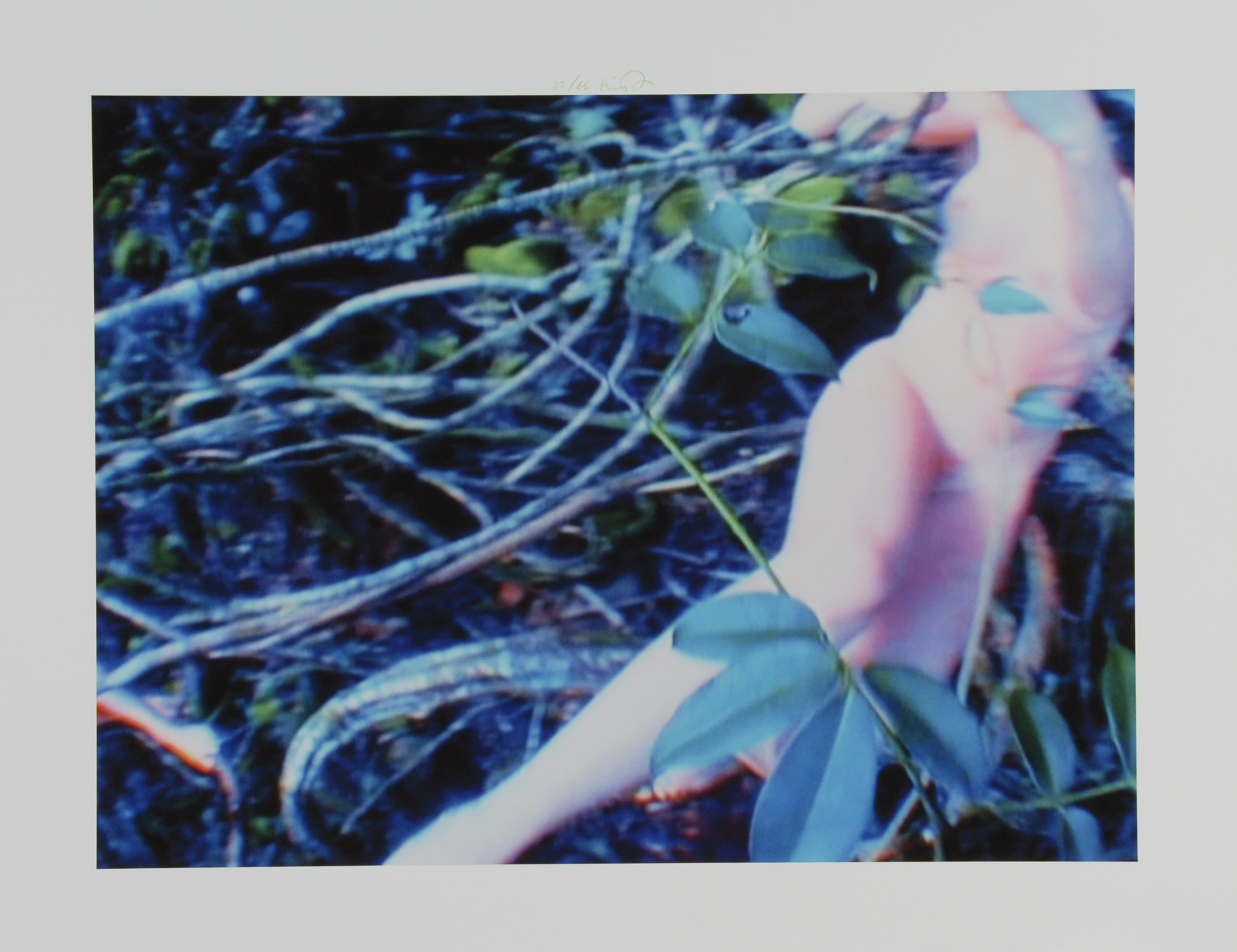 Pipilotti Rist, Stemmung in die Lianen
