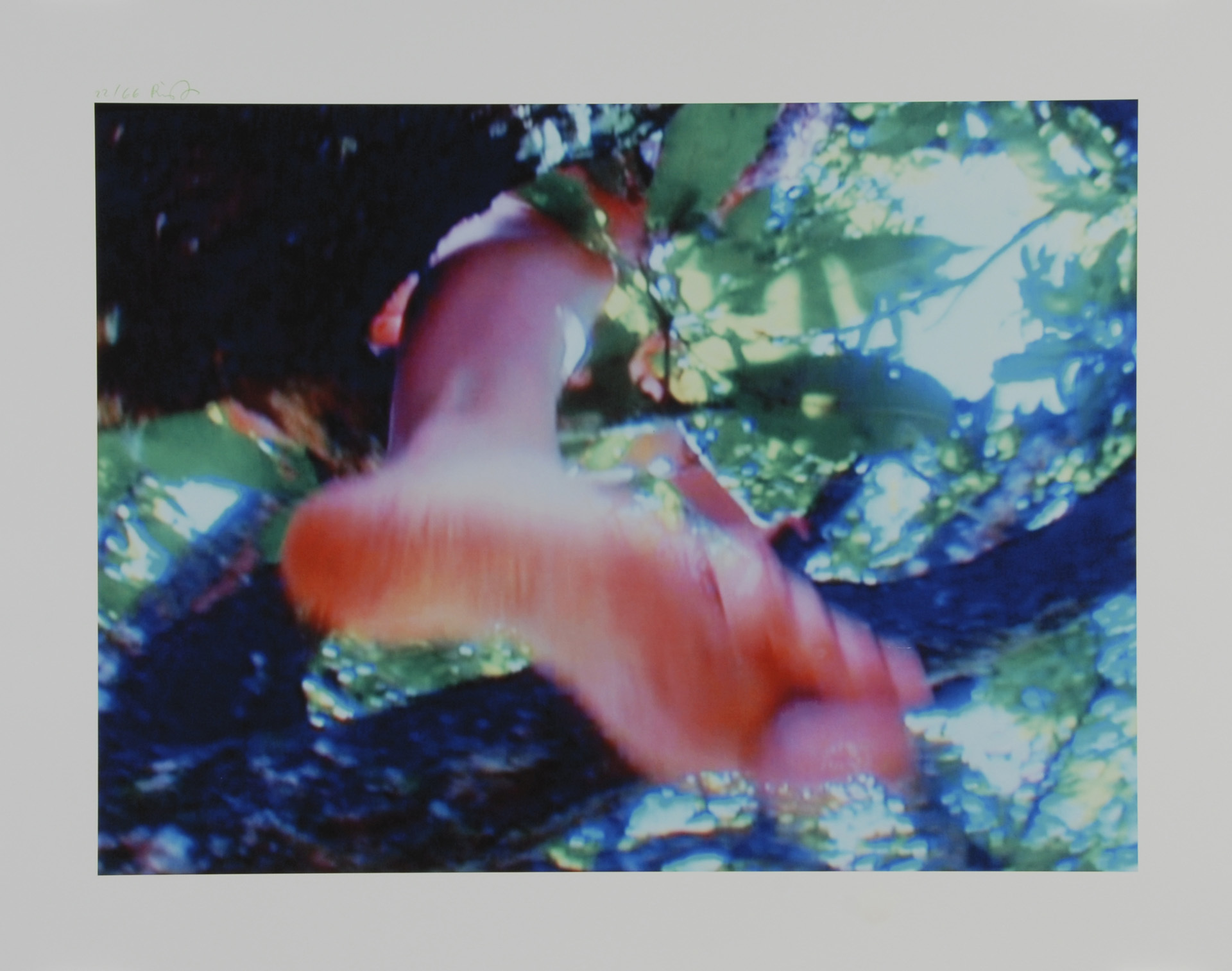 Pipilotti Rist, Baum der Erkenntnis