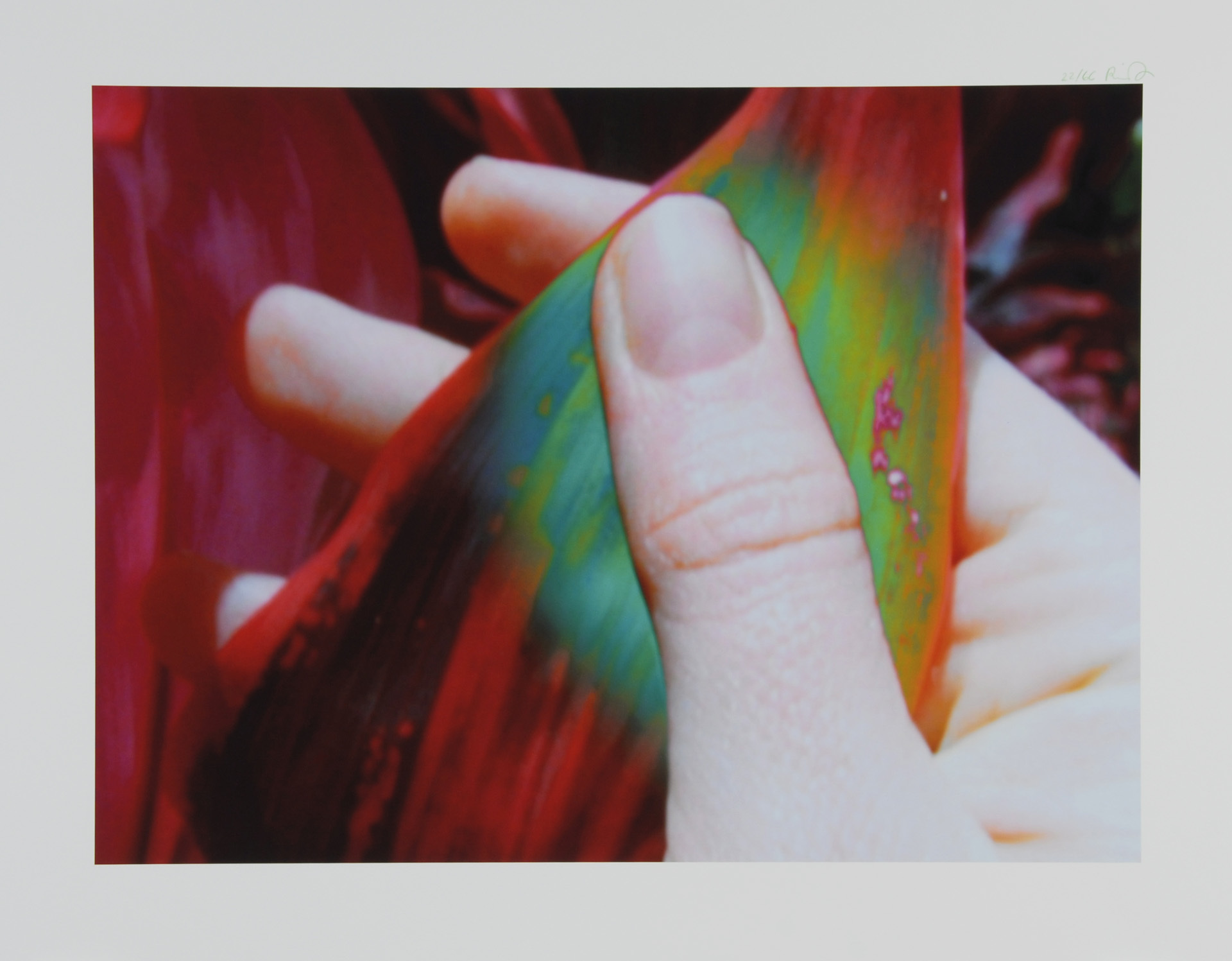 Pipilotti Rist, Kern der Berührung