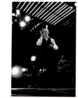 David Bowie