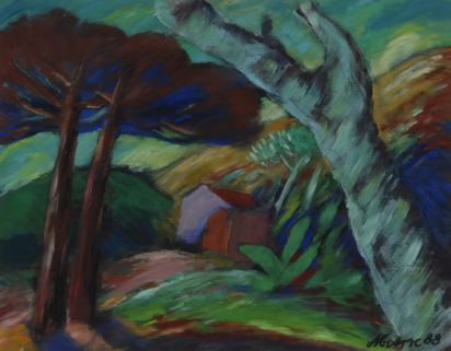 Brasilianische Landschaft