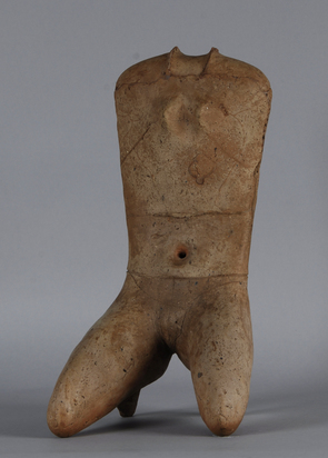Female Torso