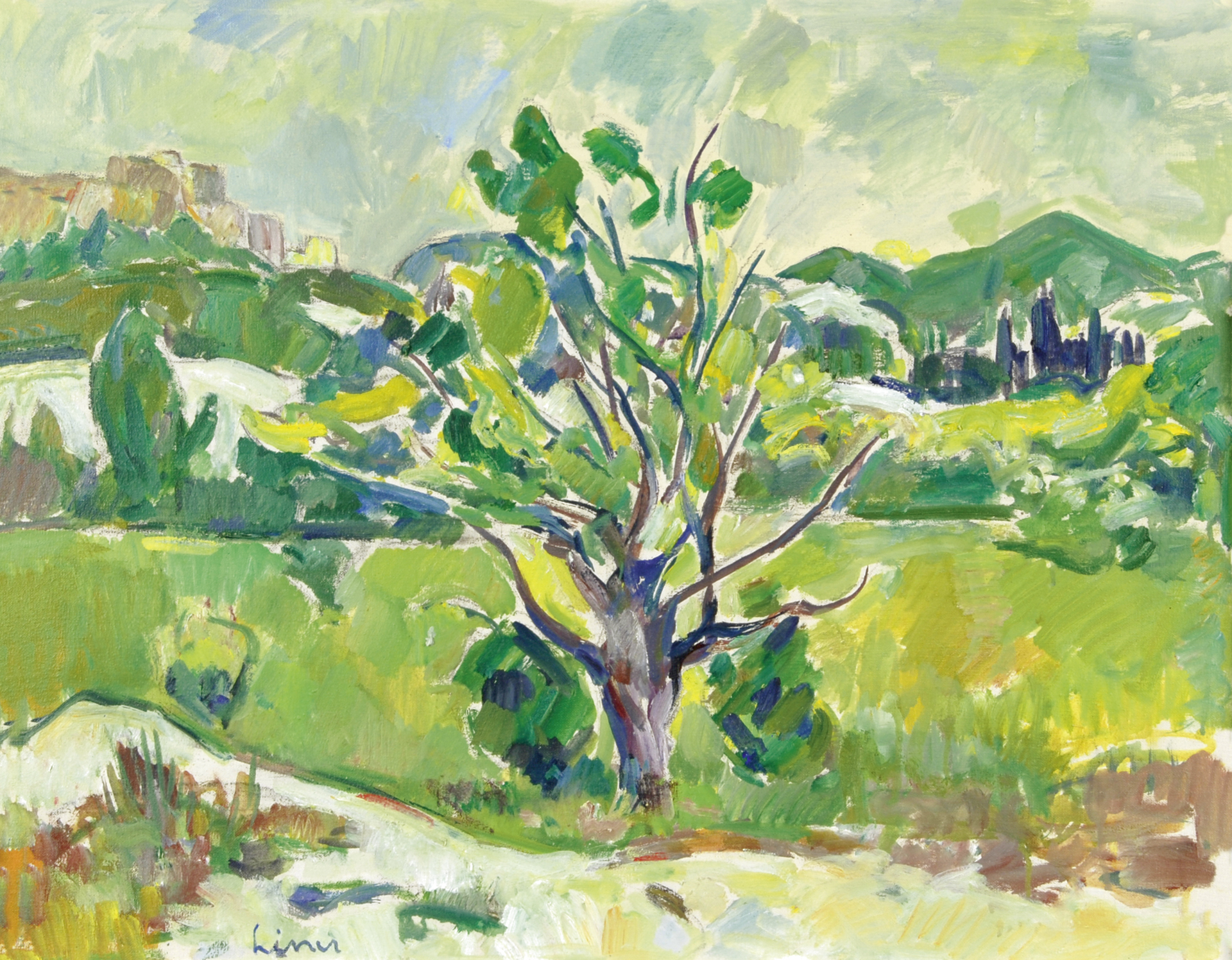 Carl Liner, Landschaft