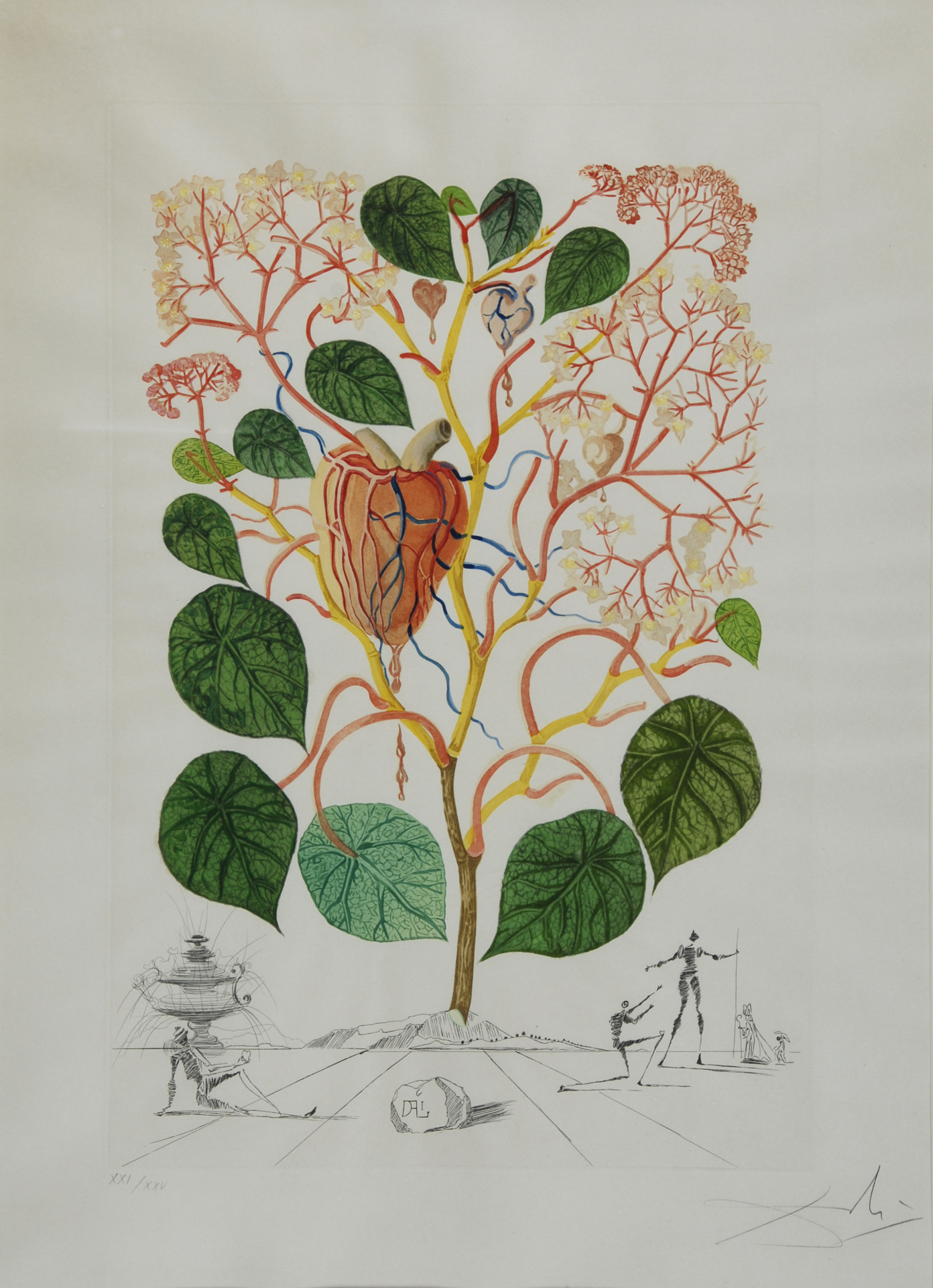 Salvador Dalí, Begonia, from"Flordali"