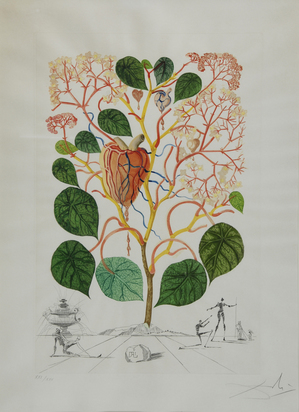 Begonia, from"Flordali"