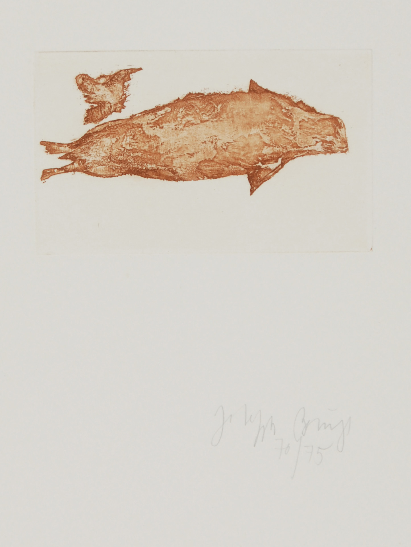 Joseph Beuys, Meerengel Robbe 3, from "Suite Zirkulationszeit"