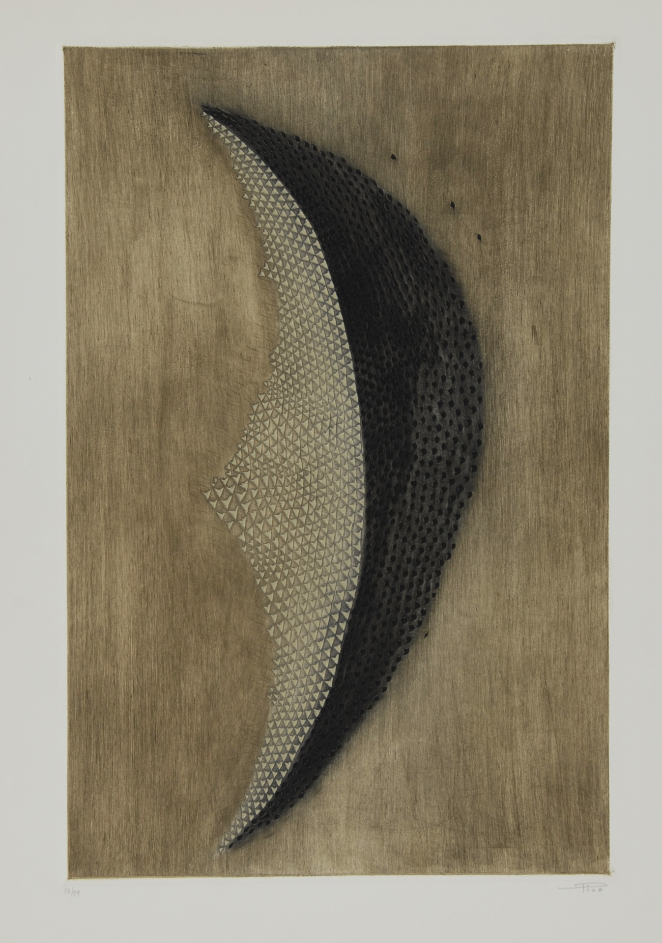 Arthur Luiz Piza, L'ombre