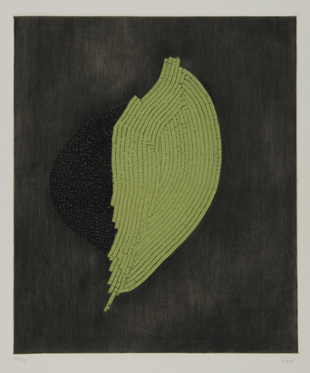 Noir et vert