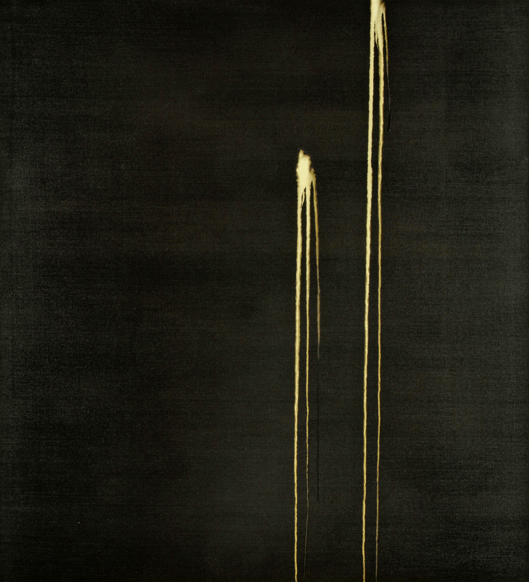 Callum Innes, Two Identified Forms