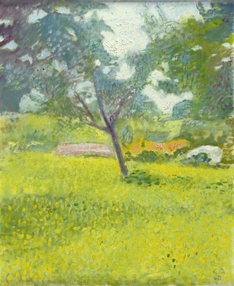 Wiese