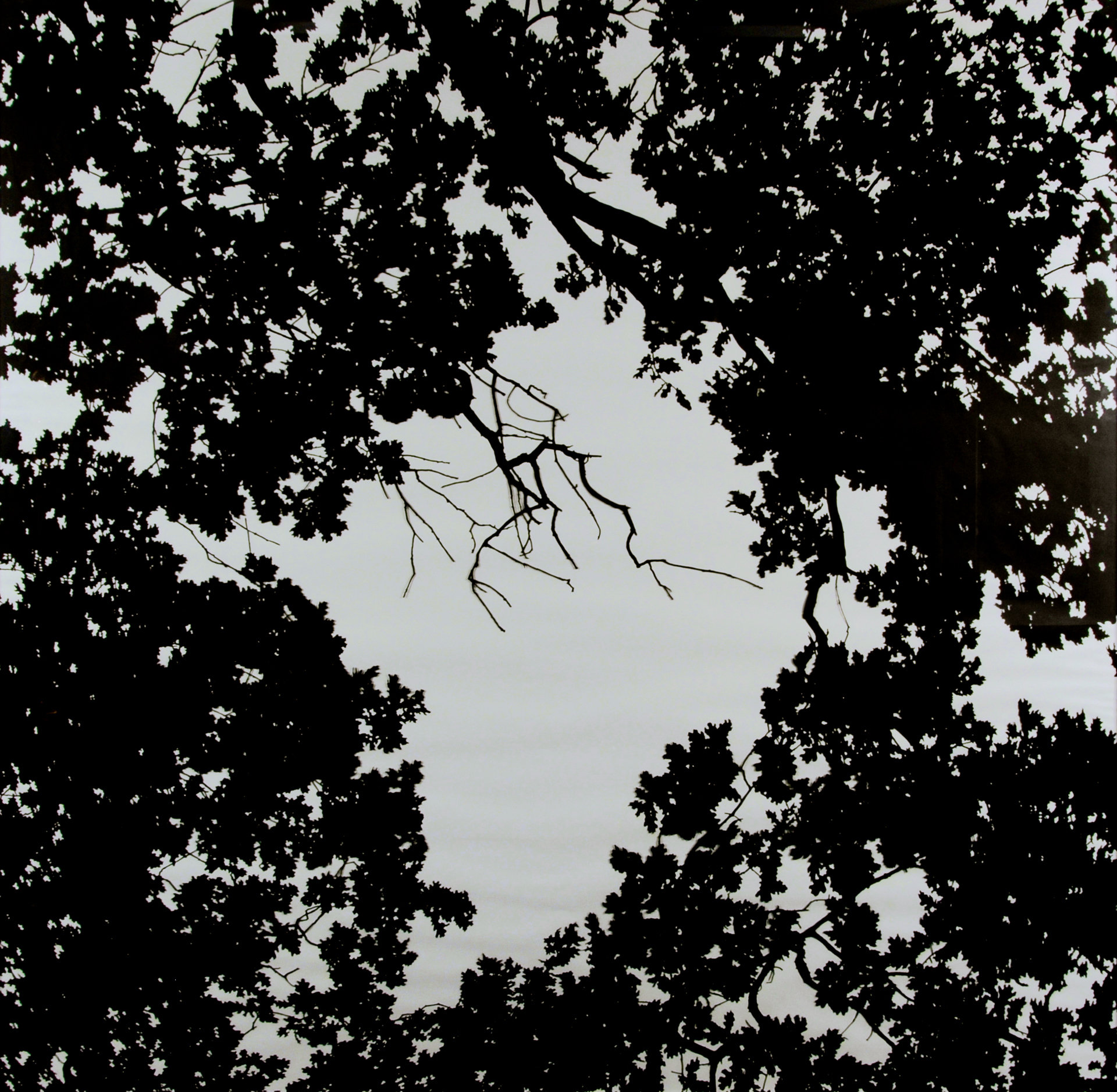 Stefan Thiel, Himmel