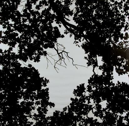 Himmel