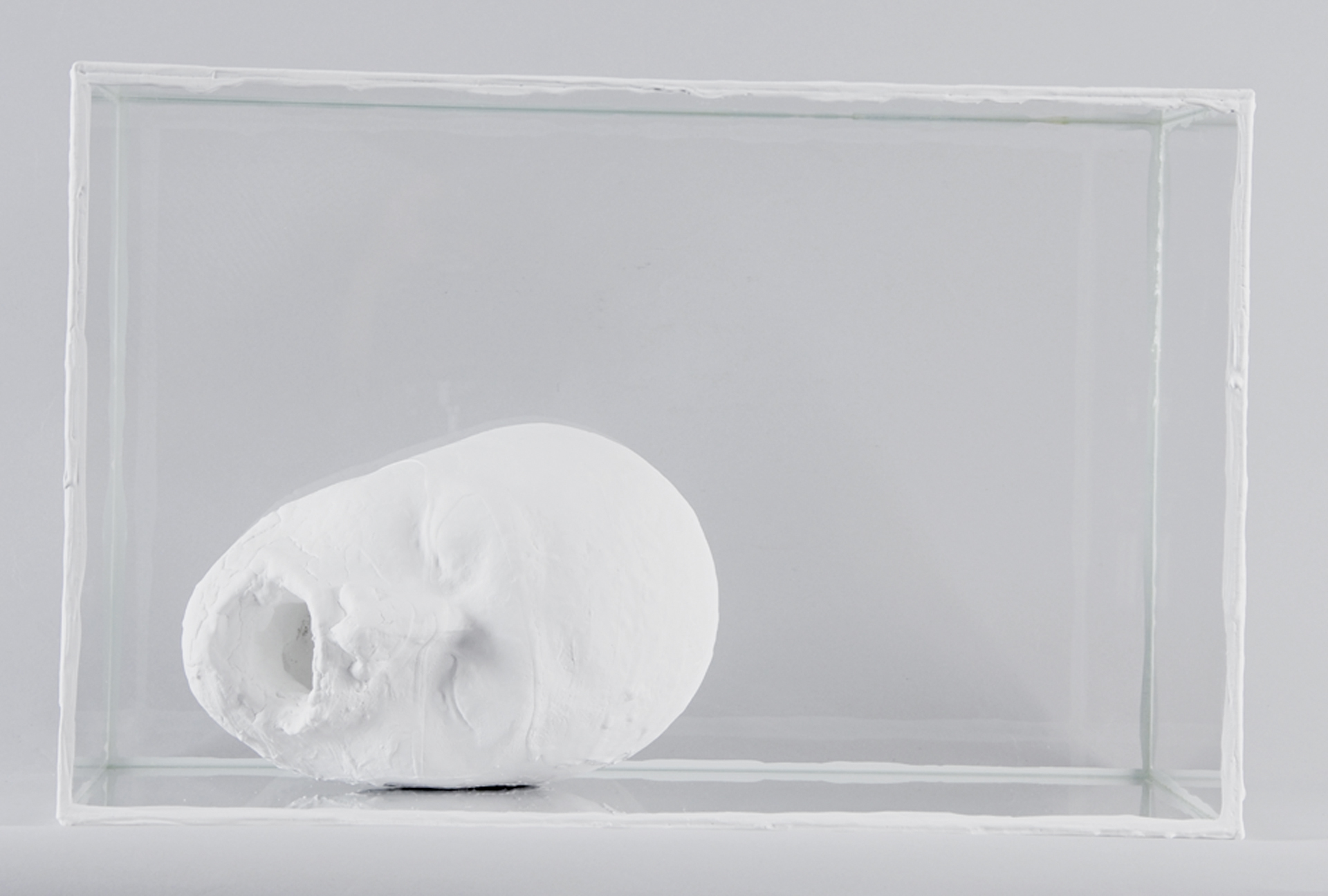 Terence Koh, Untitled (Whitehead)