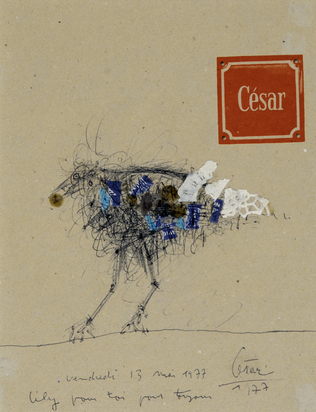 Oiseau