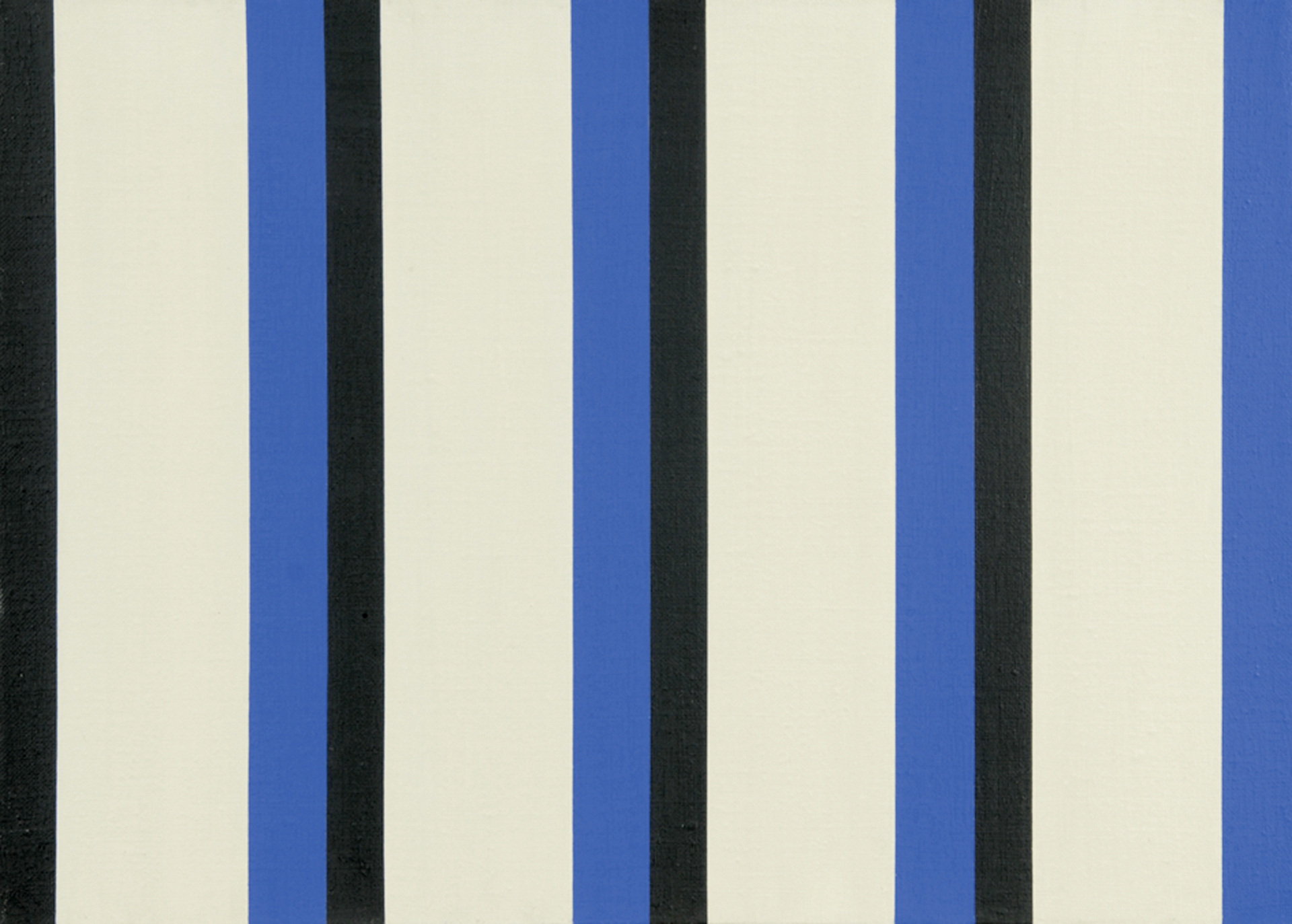 Andreas Brandt, Schwarz-Blau, Doppelstreifen