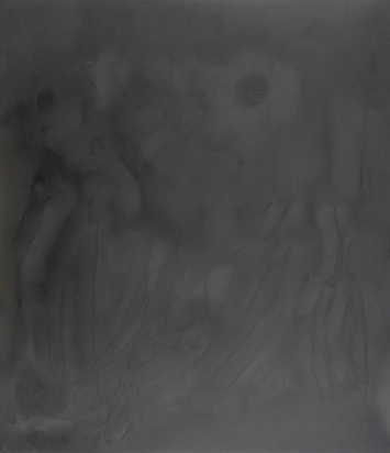 C796NP