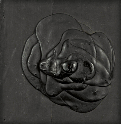 Schwarze Rose