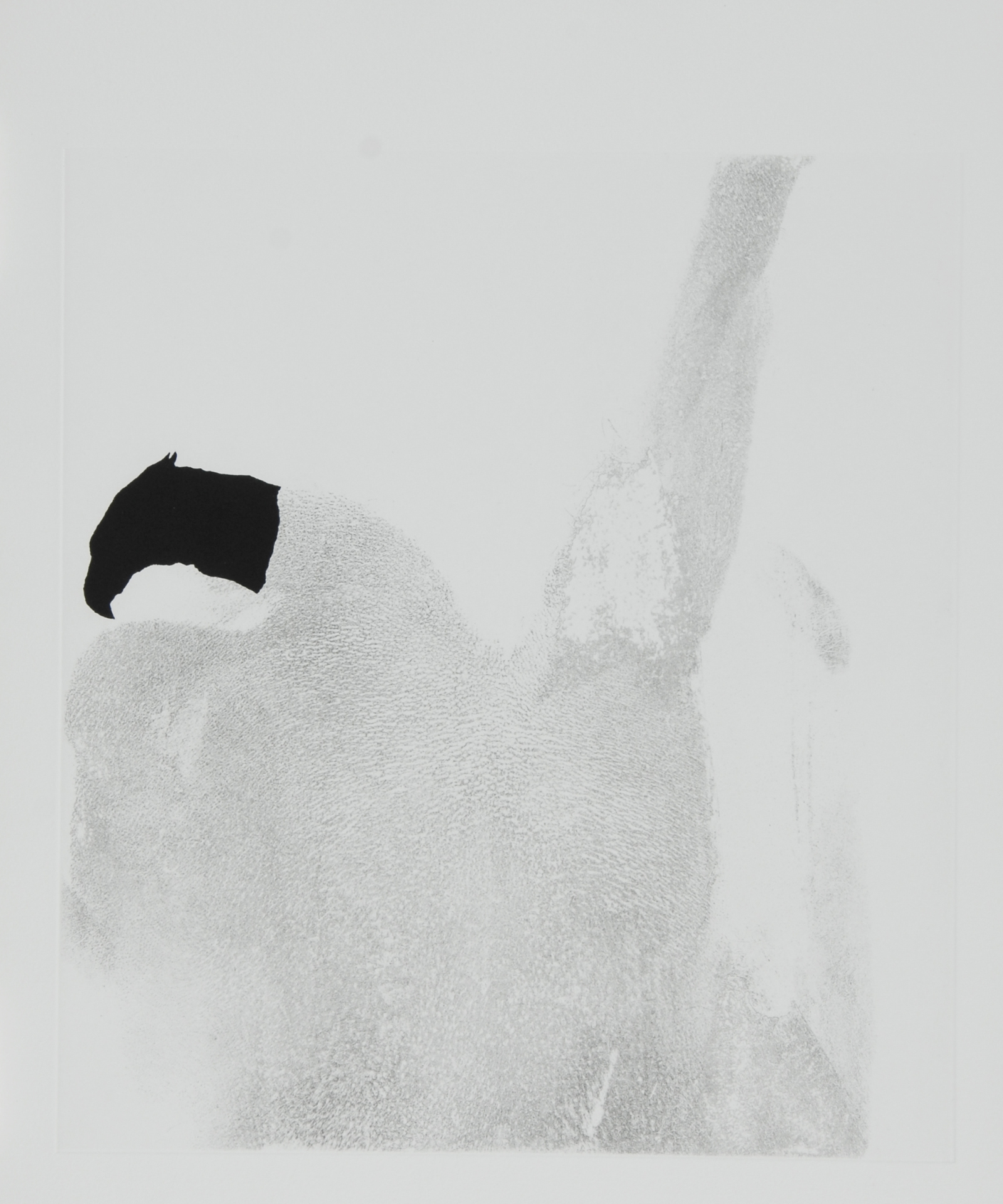 Not Vital, Portfolio. El Maktoub Maktoub