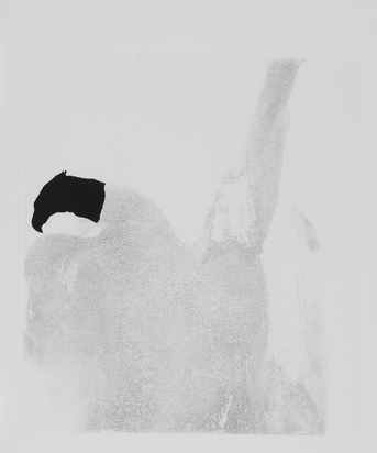 Portfolio. El Maktoub Maktoub